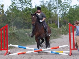 IMG_0564_web